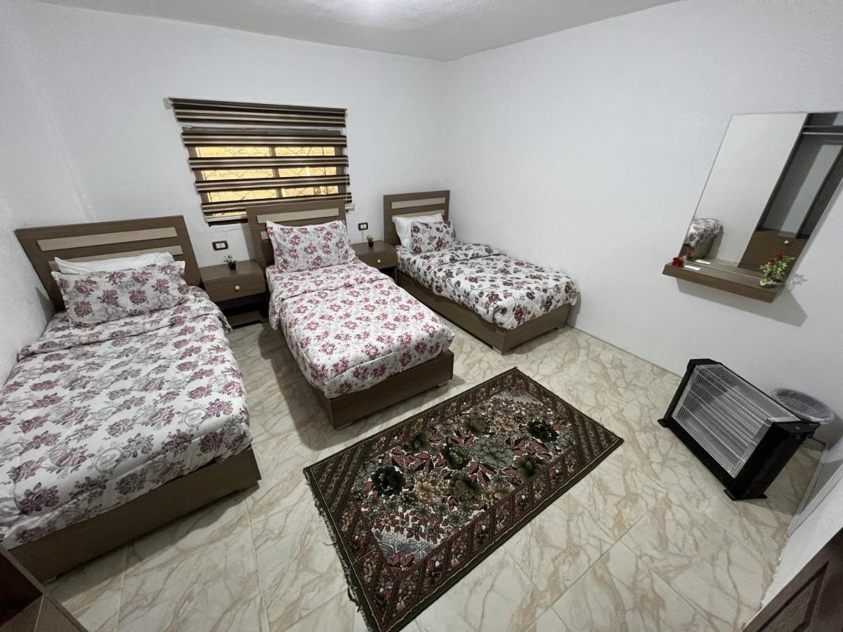 Z3 Hostel Wadi Musa Exterior photo